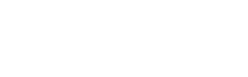 Apple_Consultant_Network 2 line white